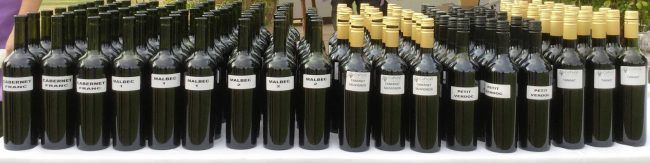 CoProVi 2016 - El Reporte 3 Foto tomada por Angel Y Vino