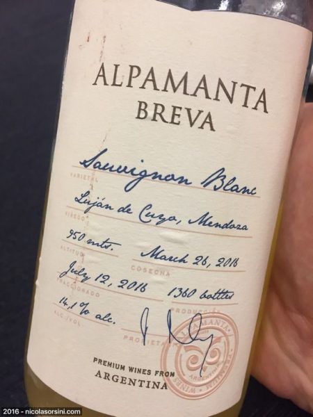 Alpamanta  Breva Sauvignon Blanc 2016