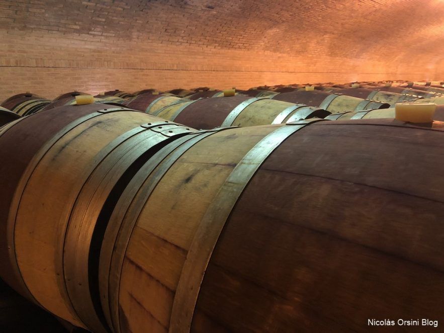 De visita en Alta Vista 3 Bodega Alta Vista