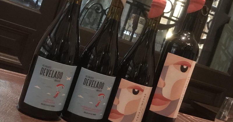 Solo Contigo Wines