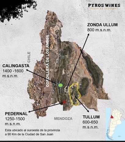 Los malbec de Pyros Wines 2 Valle de Pedernal