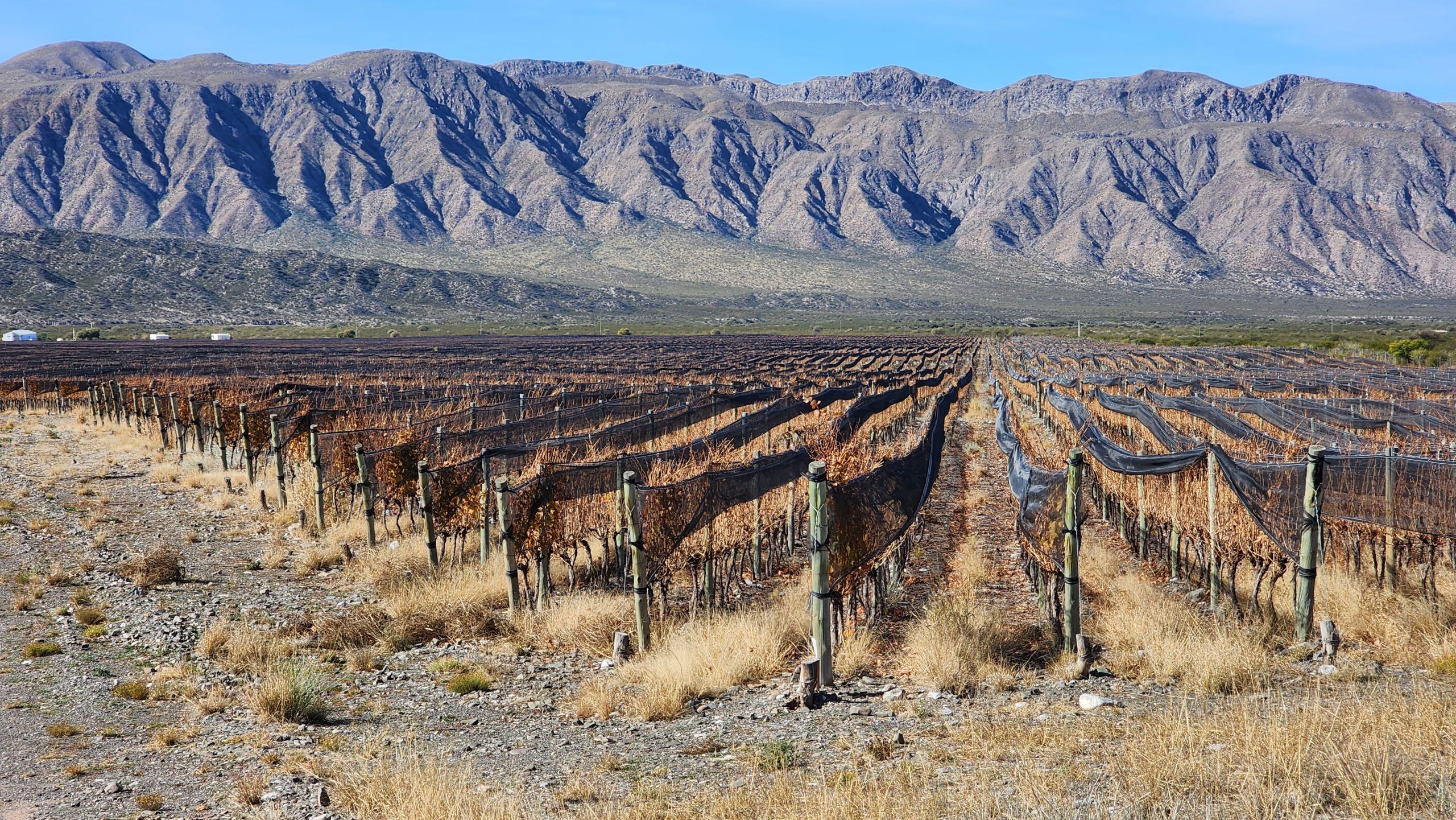 La Yesca, la finca en Pedernal de Finca Las Moras » Nicolás Orsini Blog